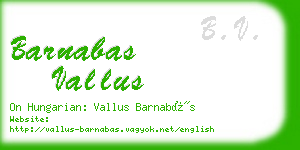 barnabas vallus business card